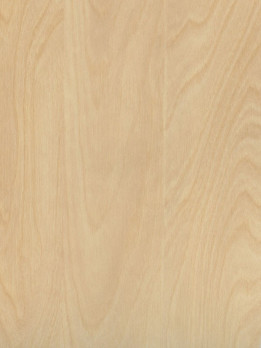 Houtplaat populier Pisa met HPL toplaag 122x244x15