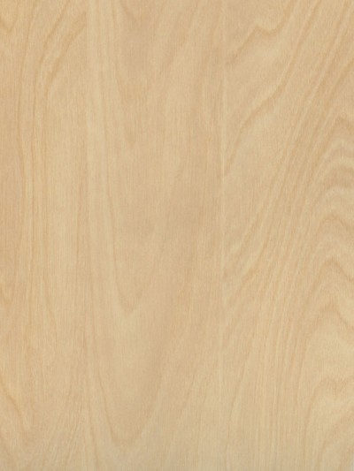 Houtplaat populier Pisa met HPL toplaag 122x244x15