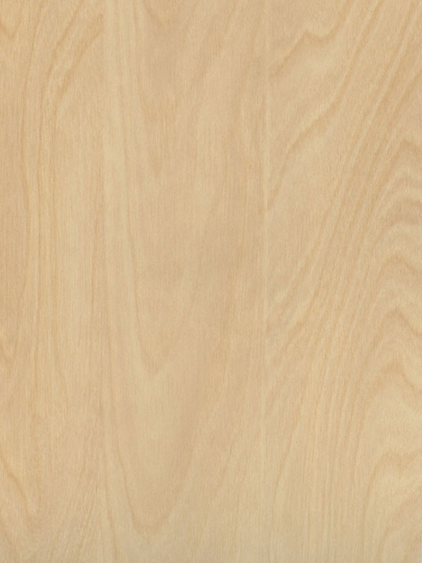 Houtplaat populier Pisa met HPL toplaag 122x244x15