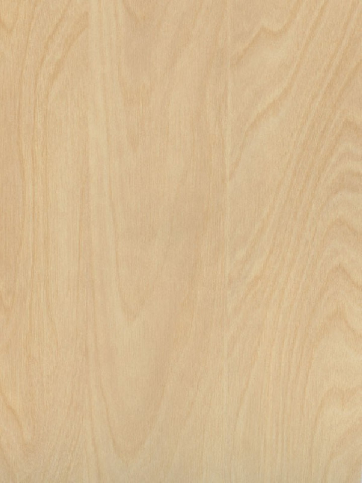 Houtplaat populier Pisa met HPL toplaag 122x244x15