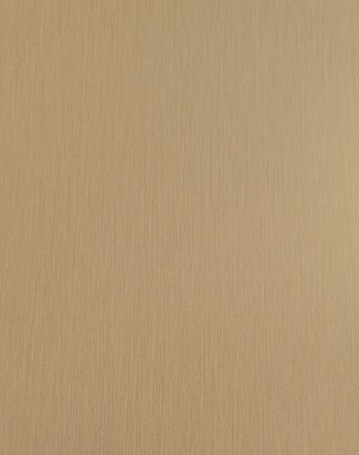 Houtplaat populier Verona met HPL toplaag 122x244x15